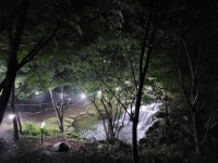 더 숲 펜션