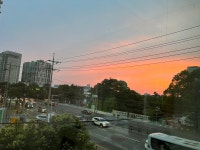 장진근두근두근내과의원