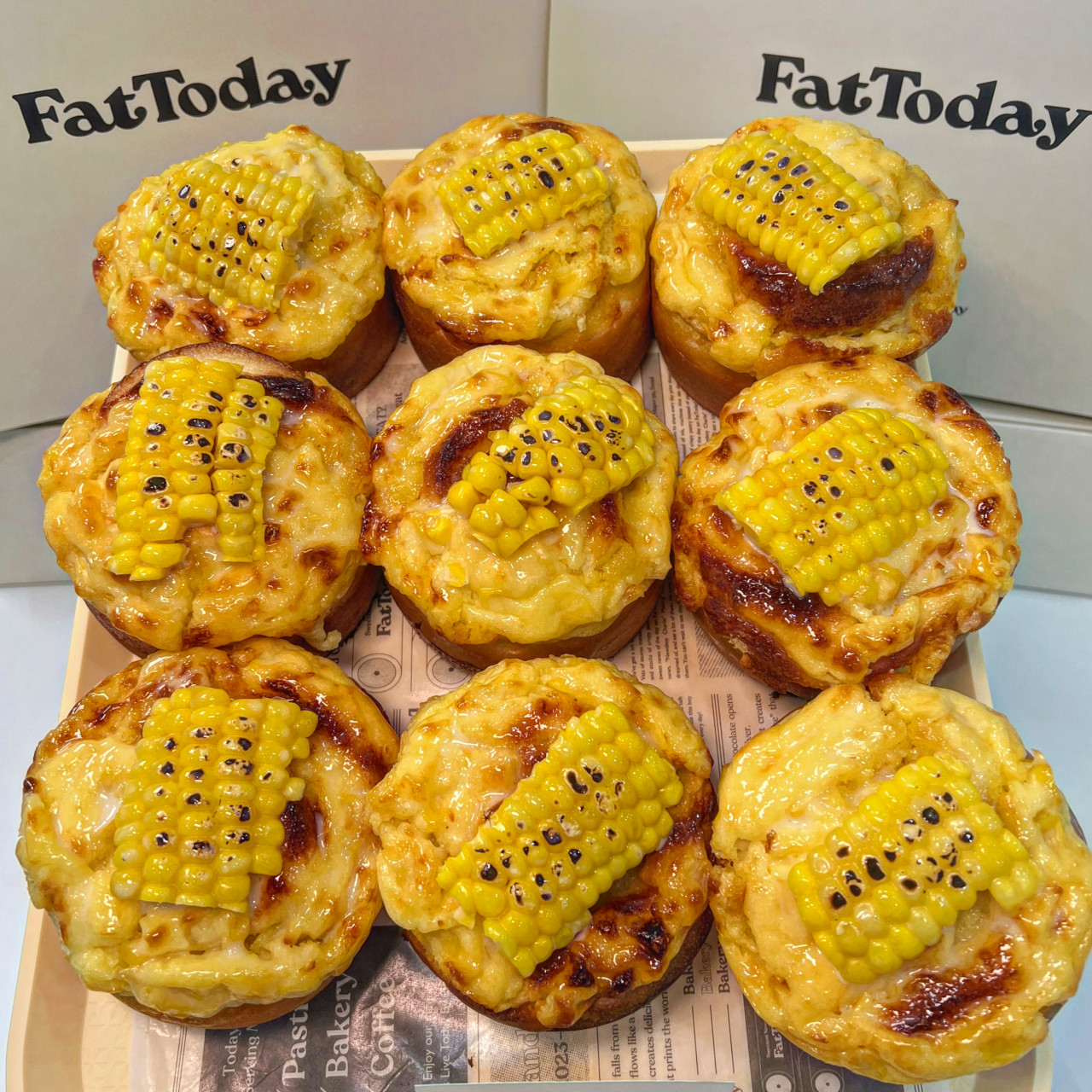 팻투데이(FATTODAY) 이미지
