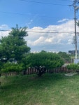 하이 꼬야