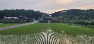 홍성환경농업마을영농조합법인