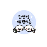 안앤정 애견미용