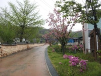 꽃심지둔데기마을