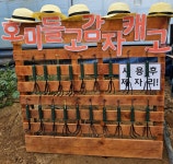 원이네 농장