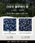 마운틴블루베리팜