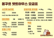 몽꾸르펫트하우스 애견유치원 & 애견호텔