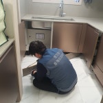 영그린훼밀리