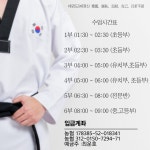 무림태권도장