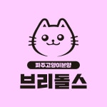 브리돌스