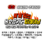 용호체육관