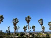 제주하늬바람펜션