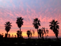 제주하늬바람펜션