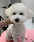 코코바코