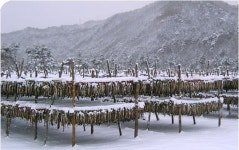 백번가코다리 본점