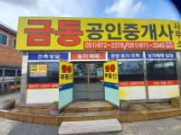 금동공인중개사사무소