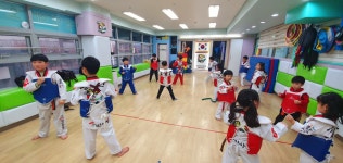 용인대명인태권도