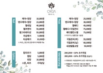 올가네일