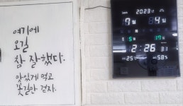 성지식당 금촌점