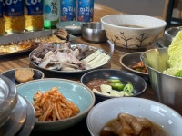 제주동백을담다