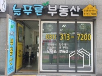 늘푸른부동산 공인중개사사무소