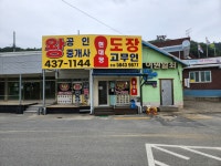 현대당