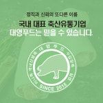 디와이에프엔에스