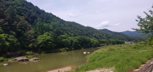 용호강 황토펜션