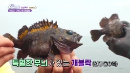 해당화민박펜션