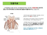 괴정수석치과의원