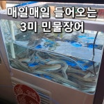 동암숯불민물장어
