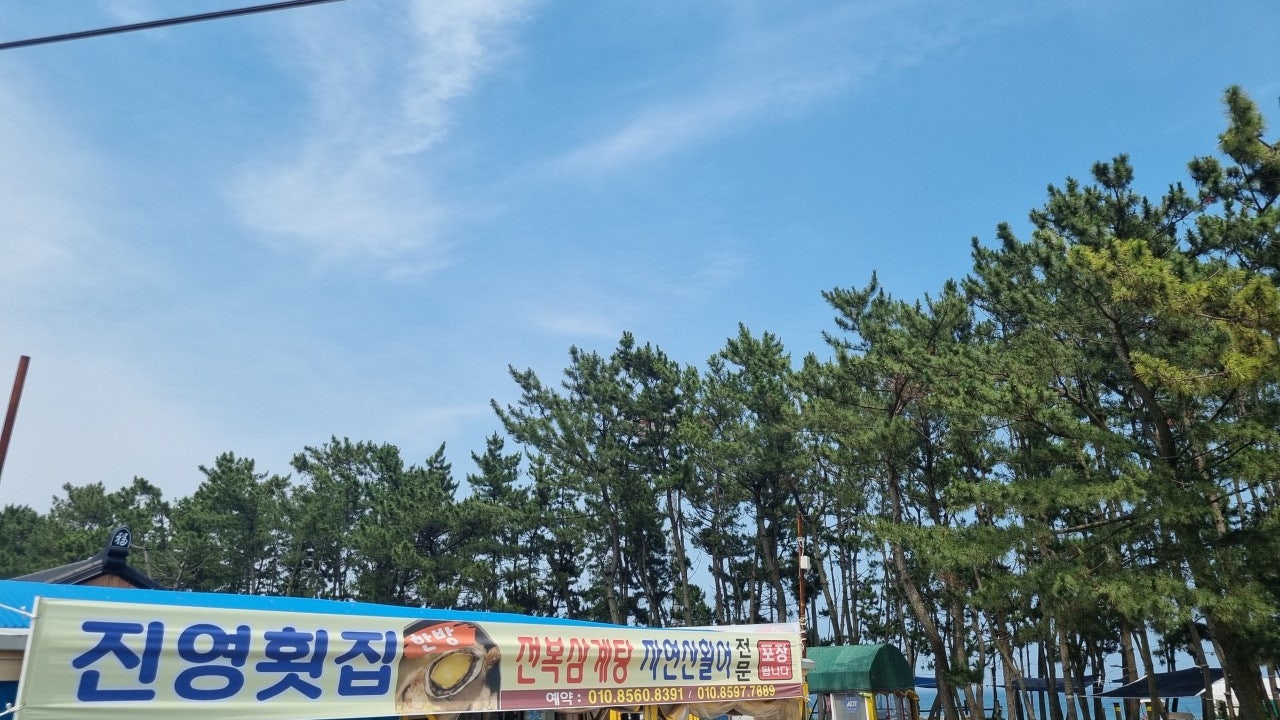 진영