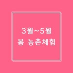 소곡금자정농촌체험휴양마을