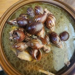 팽이와꼬꼬
