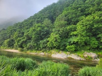 다옴 햇골 오토캠핑장