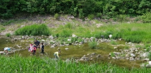 다옴 햇골 오토캠핑장