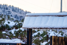 잔원유림 풀빌라