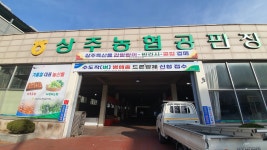 미화미술사