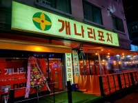 개나리포차 병점점