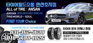 타이어월드소울 안산초지점