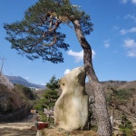 술상농원