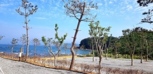 파도와노을캠핑장