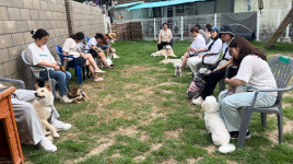 개뭉치 반려견 훈련센터