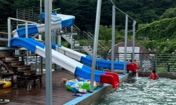 장미와 김목수