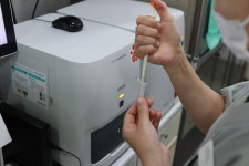 그레이스 고양이병원