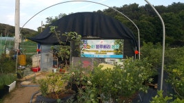 도레미블루베리농장