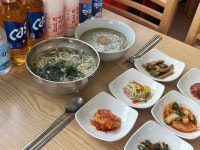 고찌올레