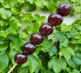 달콤왕가탕후루 포항이동점