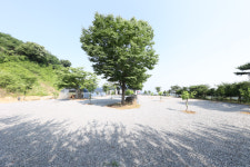 안성용설호관광농원