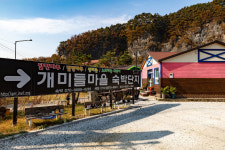 정선 개미들마을펜션