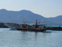 돌핀3호